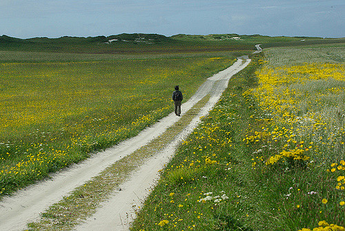 2273195450_499070ee30_z